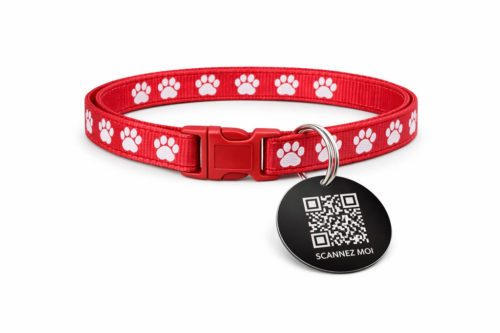 Collier anti étranglement  + Médaille