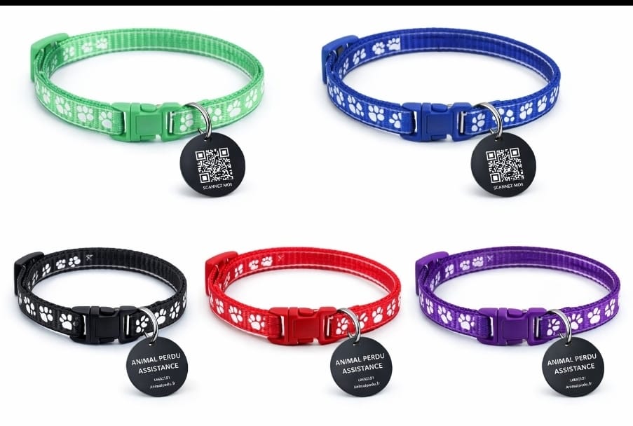 Collier anti étranglement  + Médaille