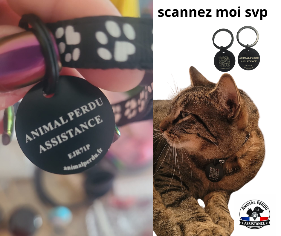 Médaille intelligente